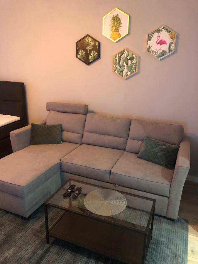 Apartament Flaming Z Balkonem - Scisle Centrum Naprzeciwko Pkp I Pks - Self Check In - Darmowy Parking - Pozne Wymeldowanie - Wystawiamy Fv Opole Kültér fotó